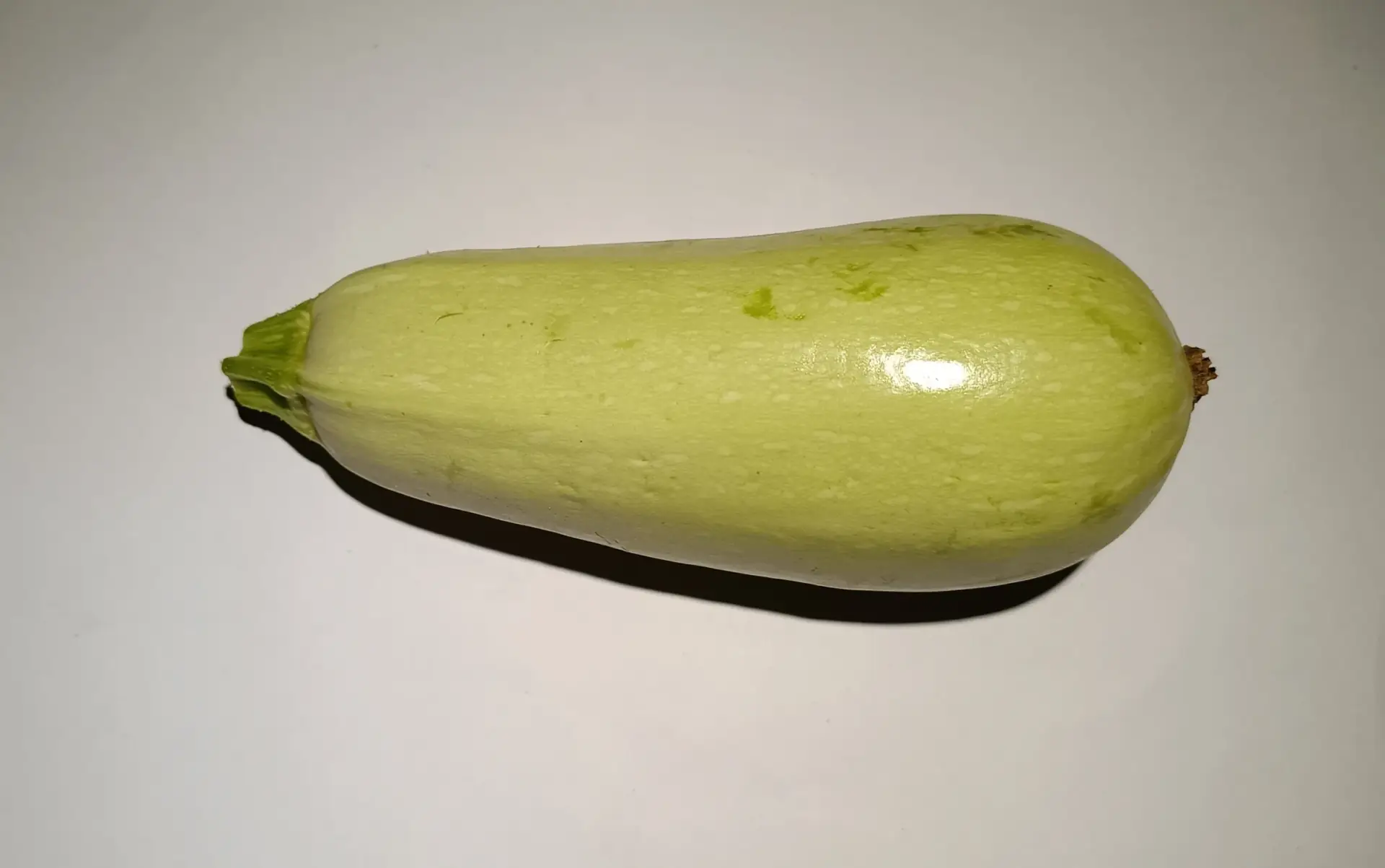 Fruto entero maduro de calabacín blanco de correr, en su estado de maduración ideal